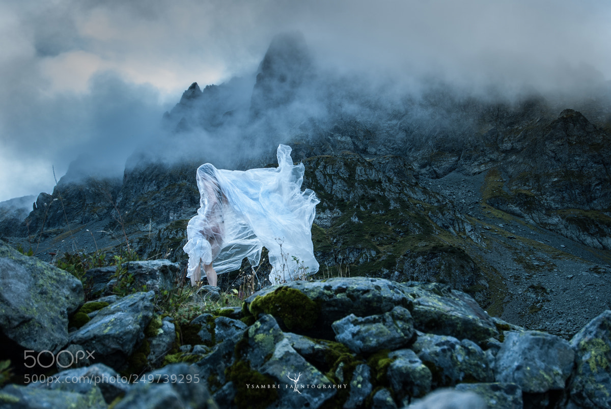 Nikon D80 sample photo. Icare ou l'albatros des photography