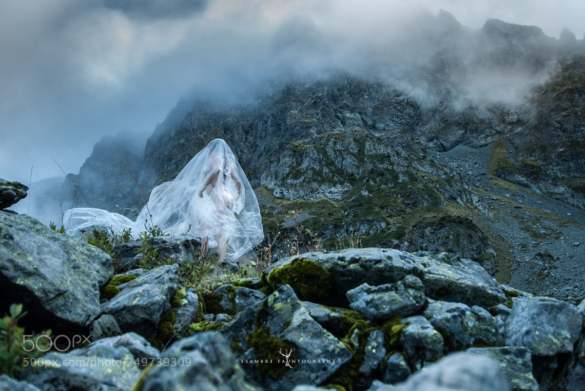 Nikon D80 sample photo. Icare ou l'albatros des photography