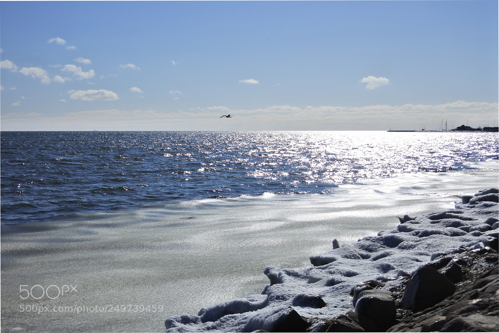 Nikon 1 J5 sample photo. Frozen ocean photography