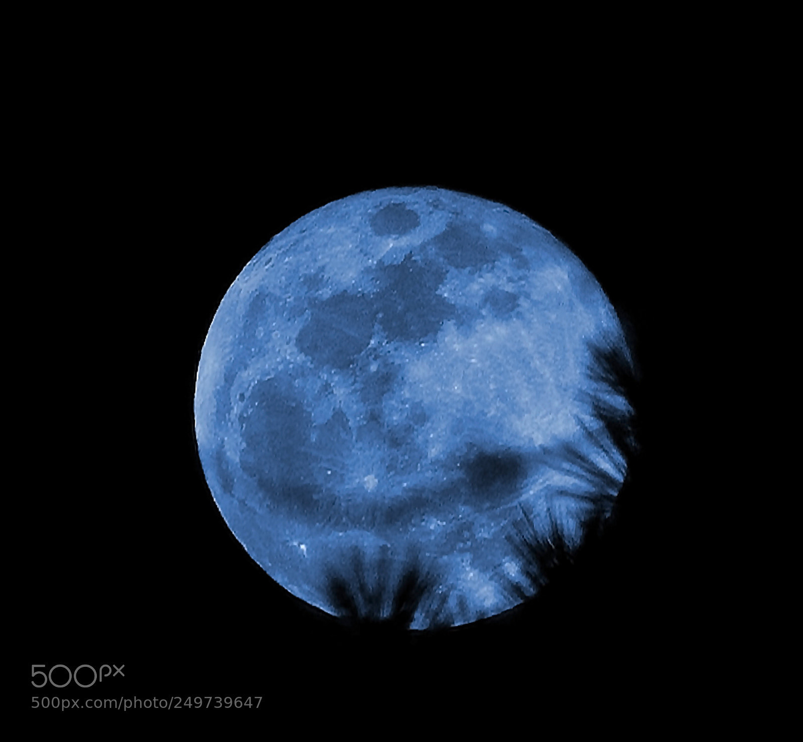 Nikon D5300 sample photo. Full blue moon photography