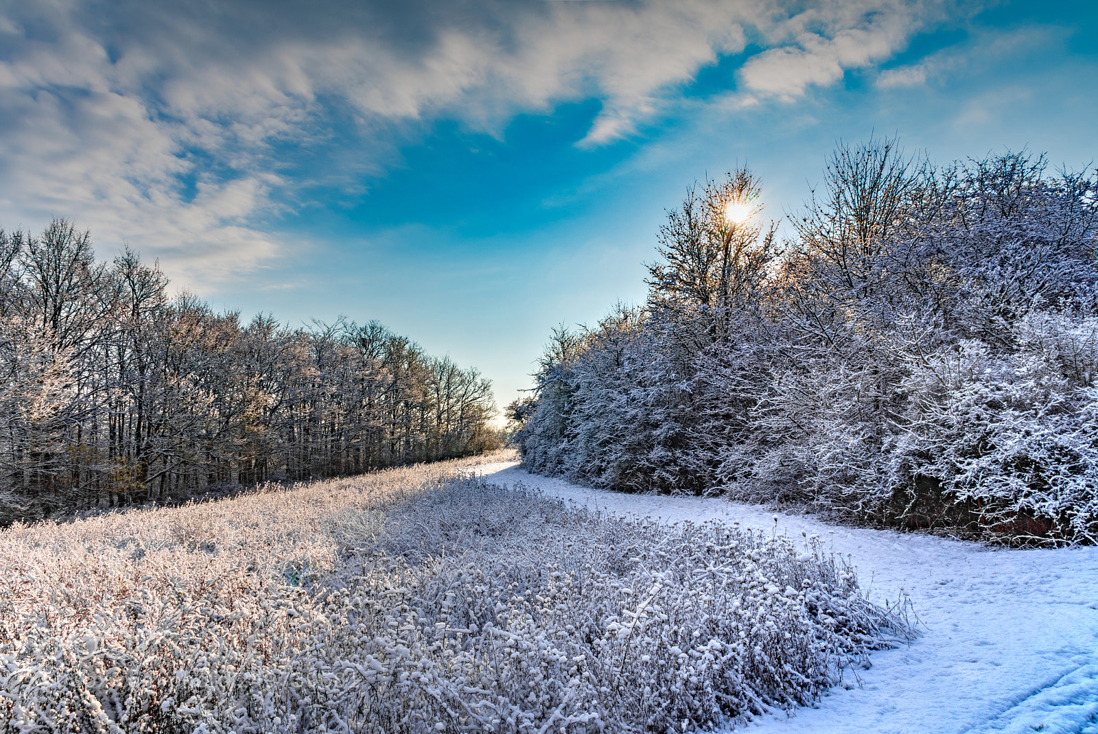 Sony SLT-A68 sample photo. Snow again photography
