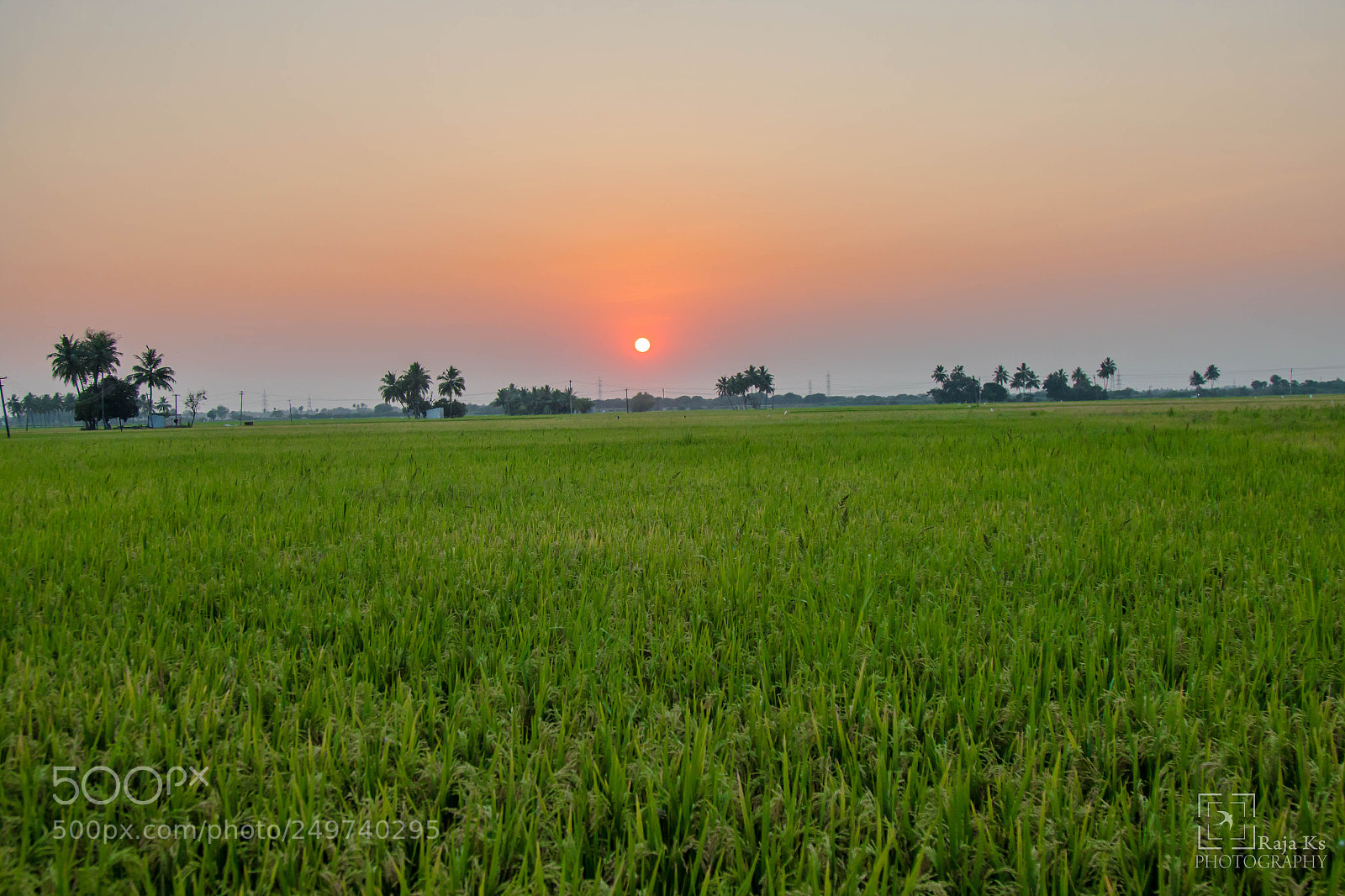 Canon EOS 70D sample photo. Farm land photography