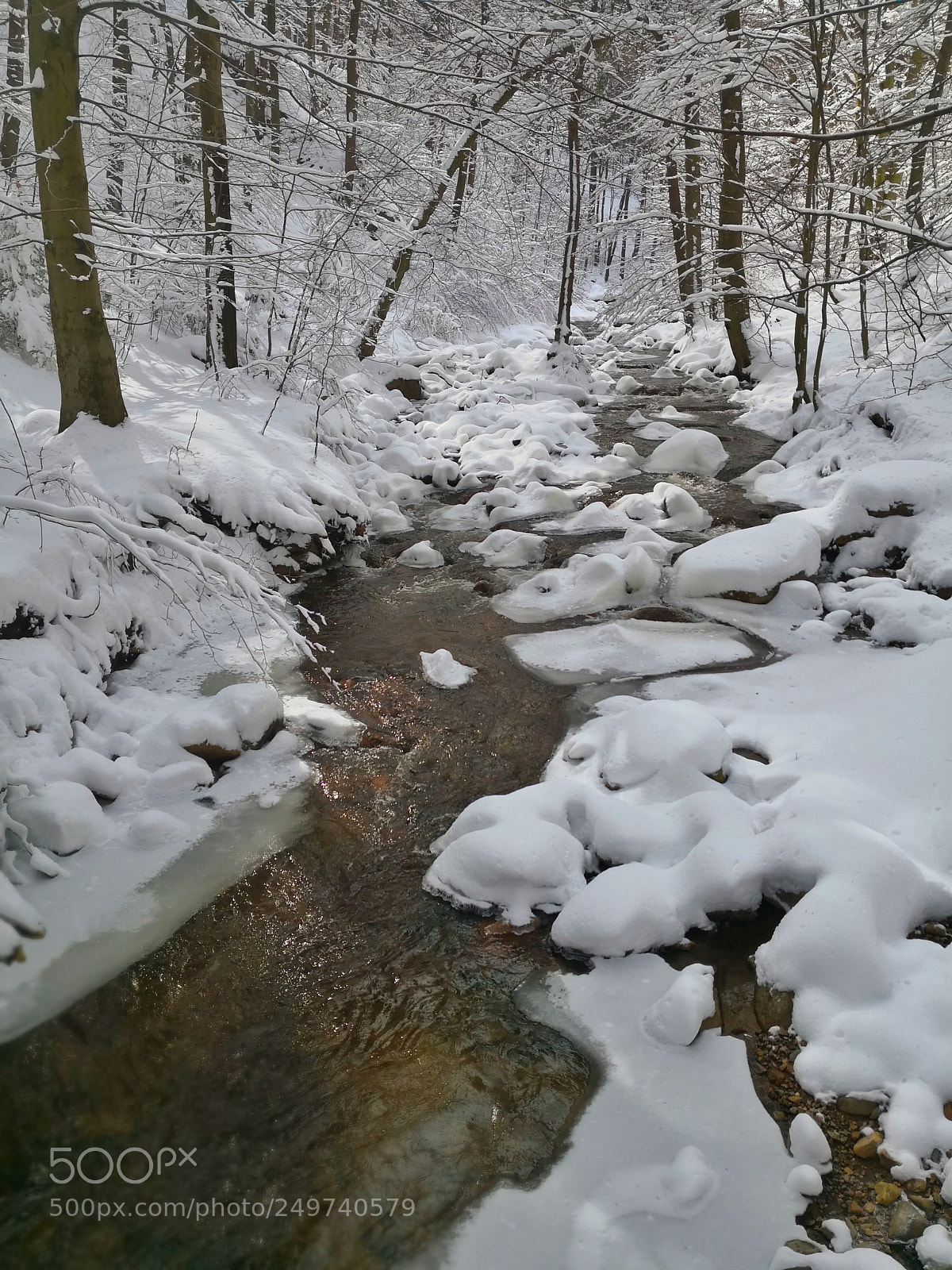 HUAWEI Mate 10 Pro sample photo. Winterwonderland.... photography