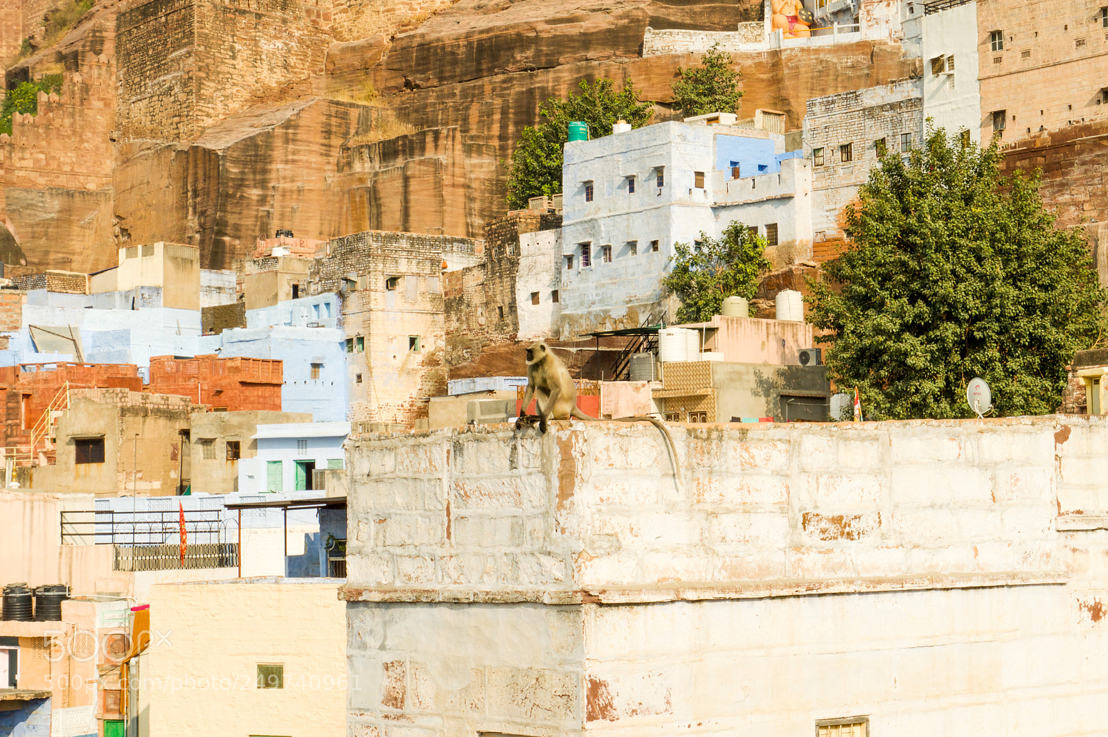Nikon D3200 sample photo. India photography