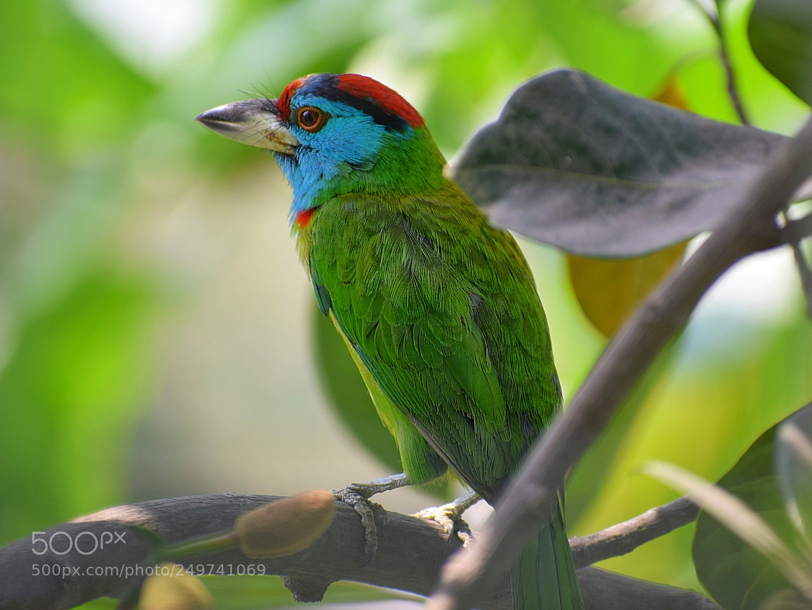 Nikon D3300 sample photo. What a colour!!!! photography