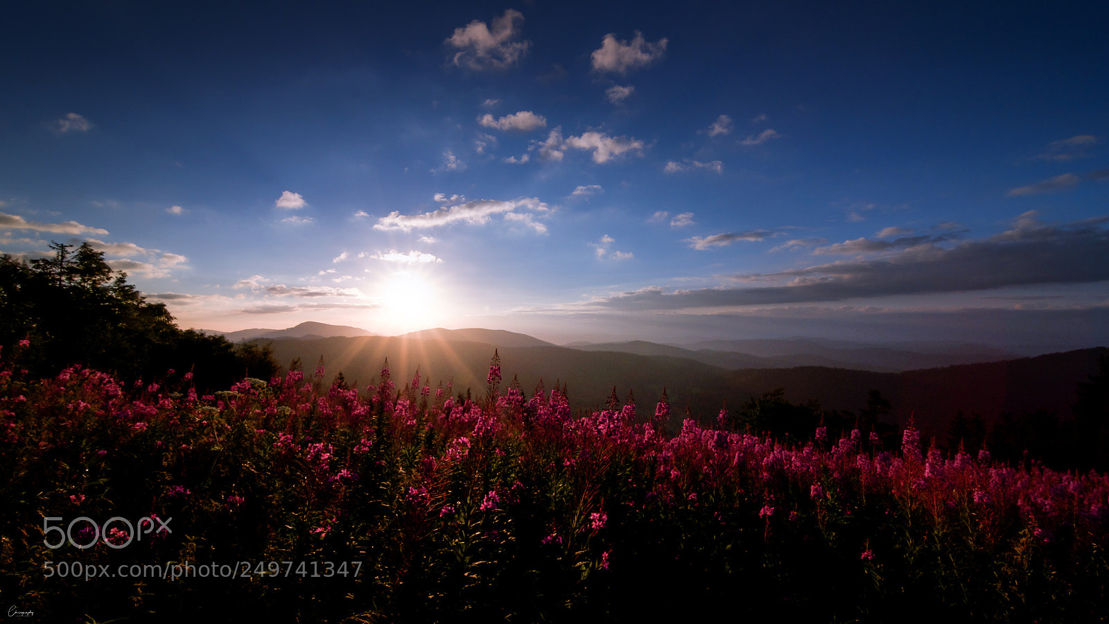 Nikon D5000 sample photo. Dawn photography