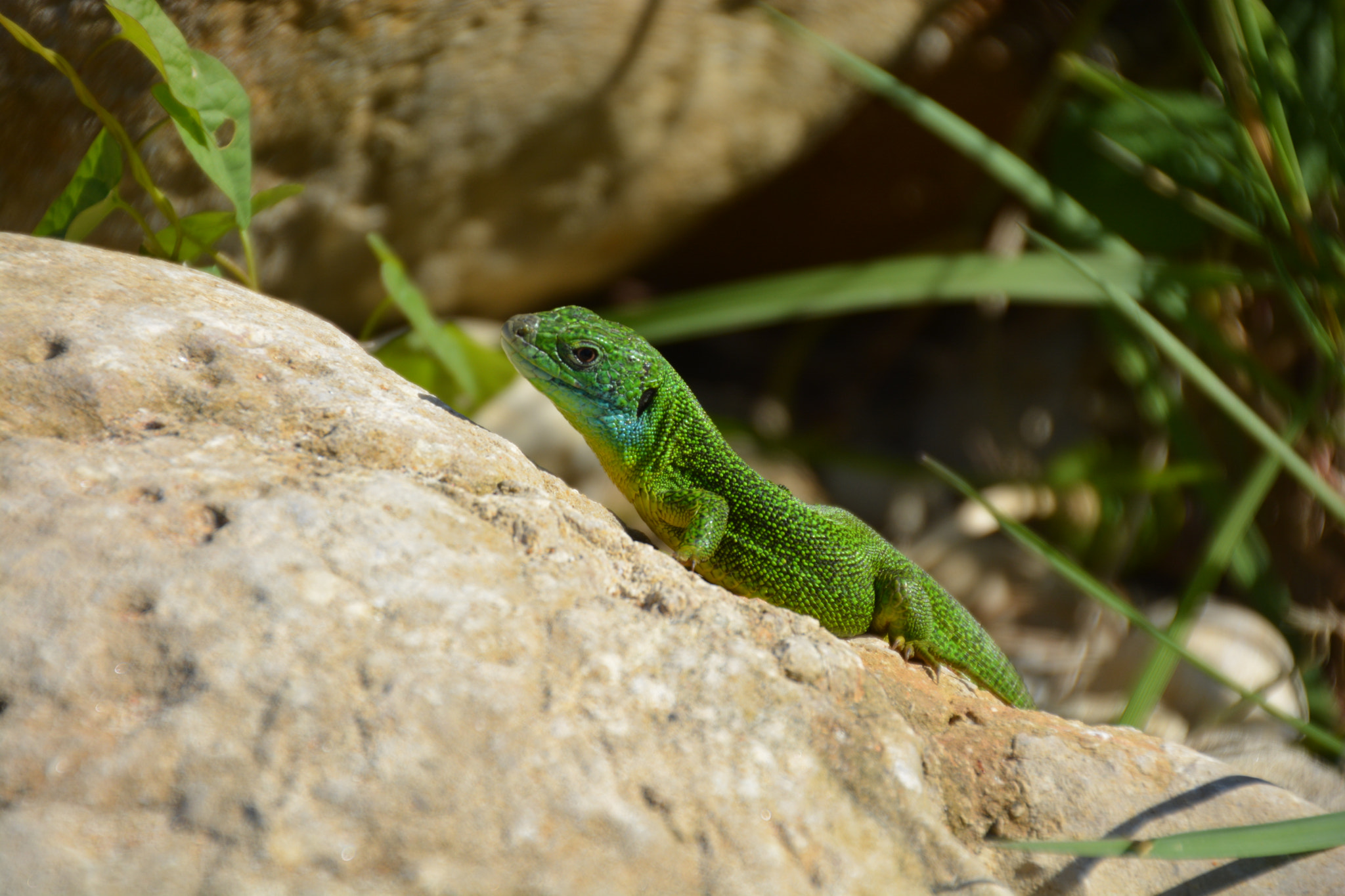 Nikon D5200 sample photo. Una playa en cantabria photography