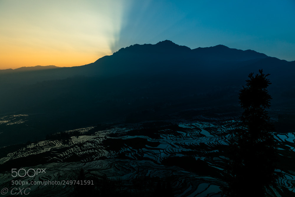 Canon EOS 5D Mark IV sample photo. Yuan yang travels -46 photography