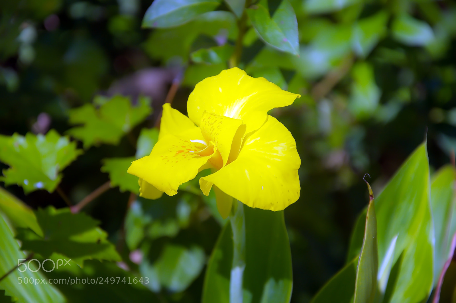 Nikon D90 sample photo. Beauty photography