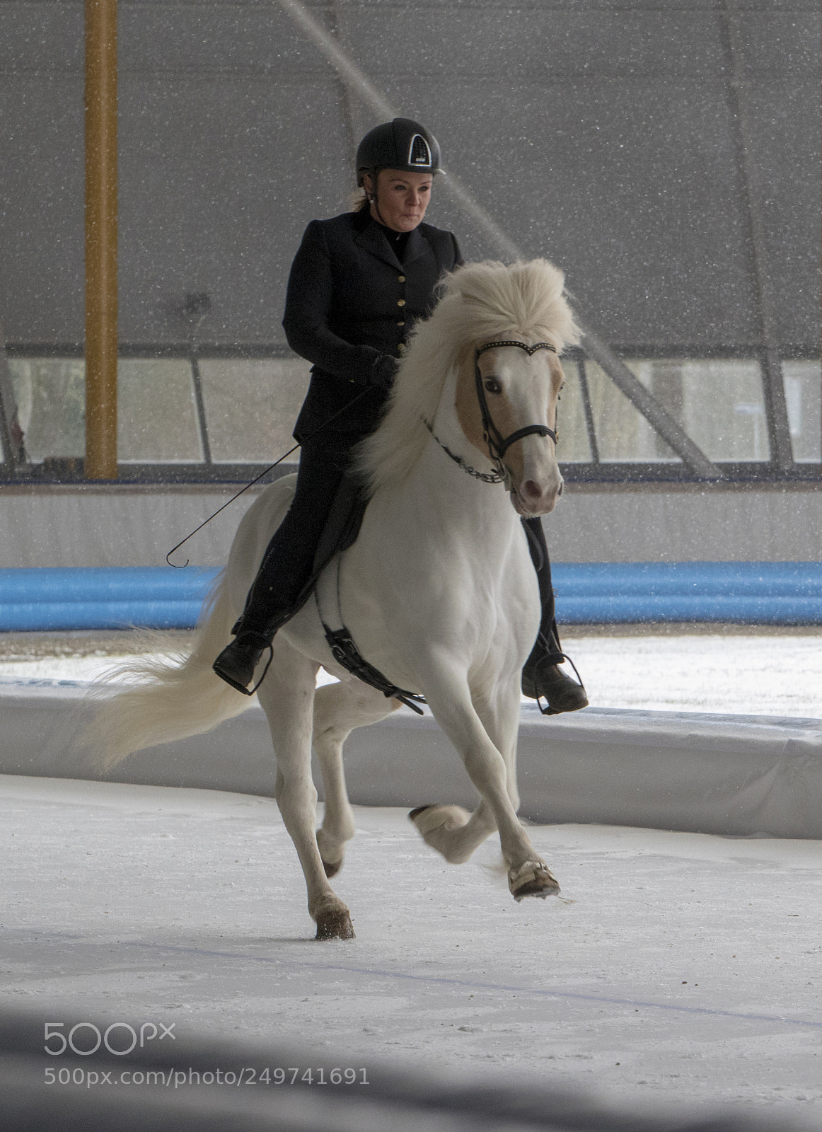 Canon EOS 7D Mark II sample photo. Icelandic horse photography