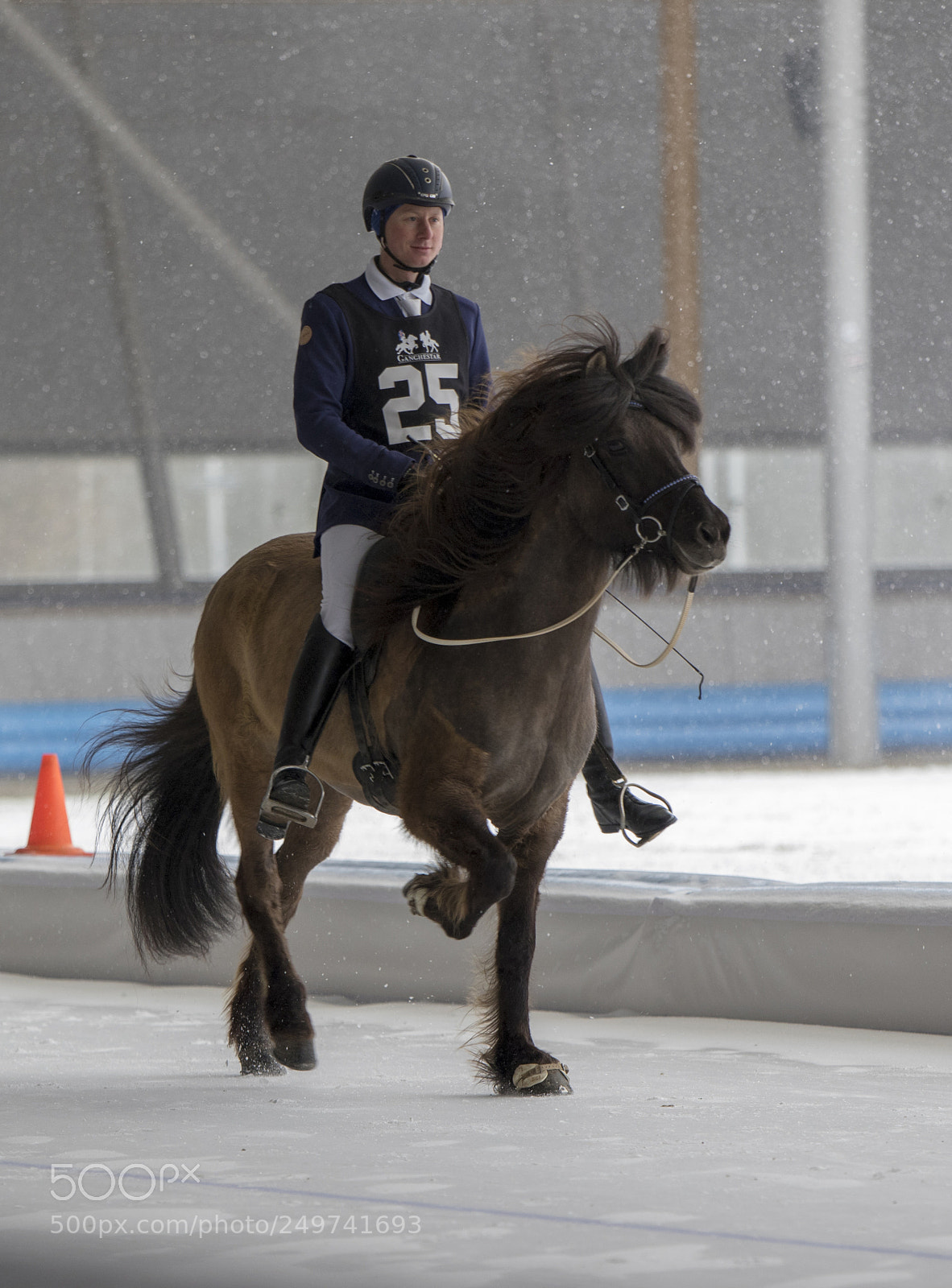 Canon EOS 7D Mark II sample photo. Icelandic horse photography
