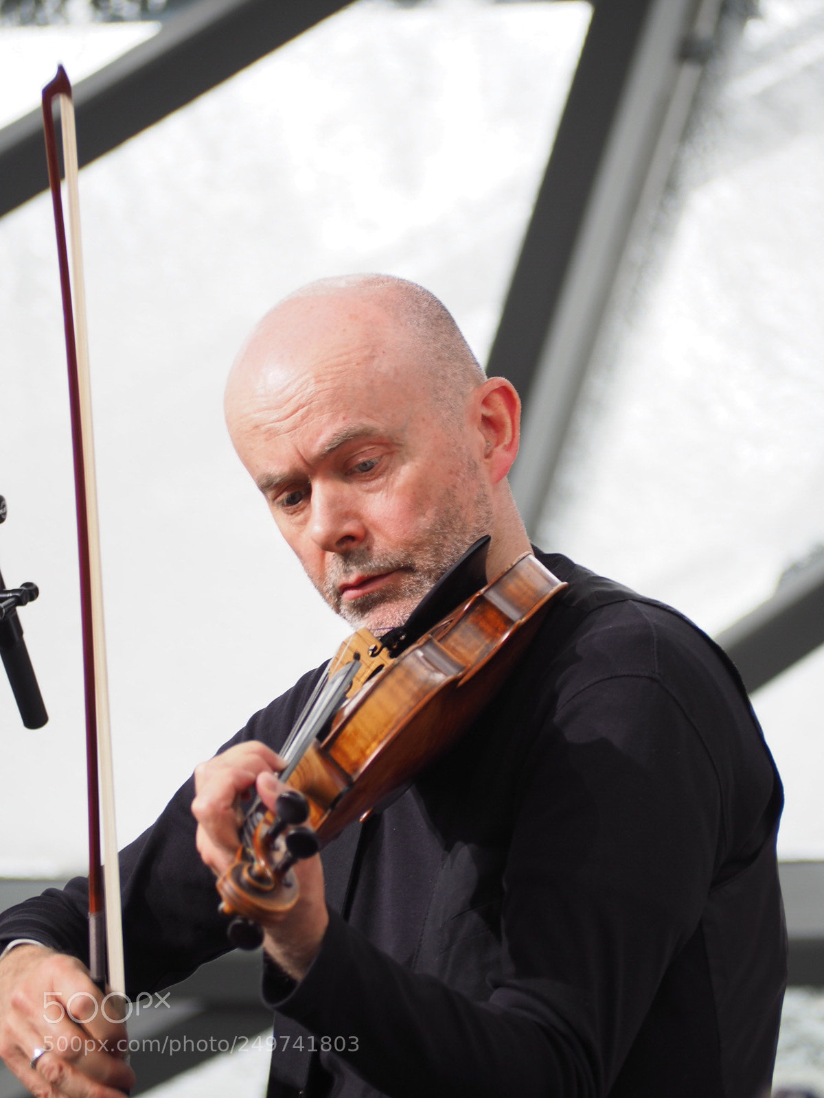 Olympus OM-D E-M10 II sample photo. The jazz violinist  photography