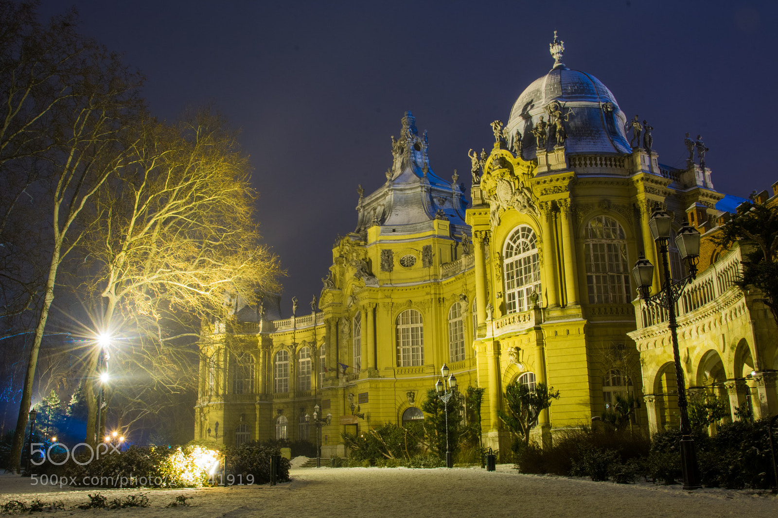 Nikon D7100 sample photo. Vajdahunyad castle photography