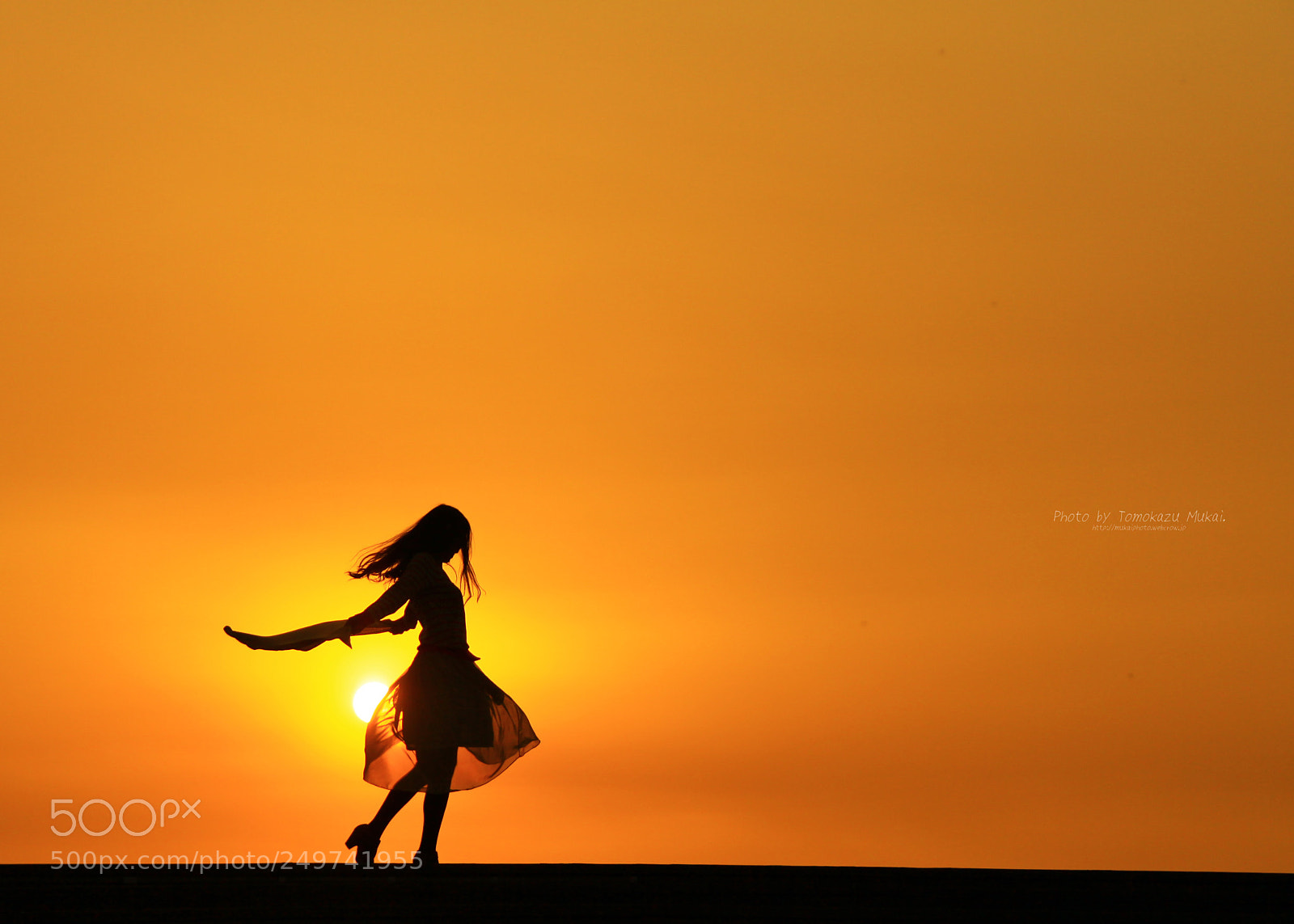 Canon EOS 50D sample photo. Silhouette photography