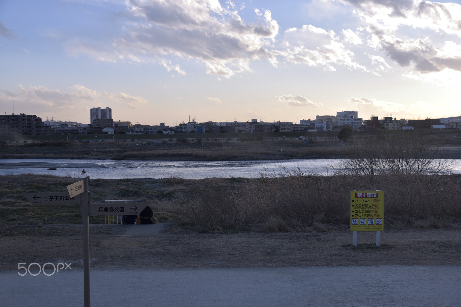 Nikon D5500 sample photo. A winter day photography