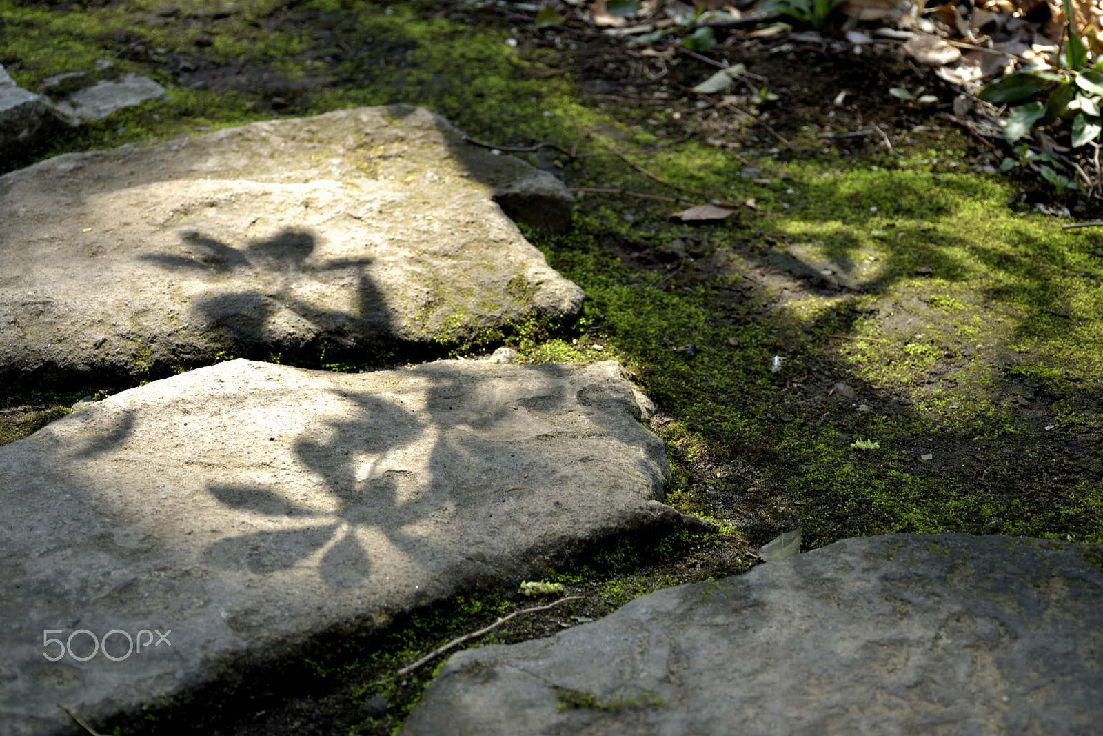 Nikon D5500 sample photo. Shadows photography