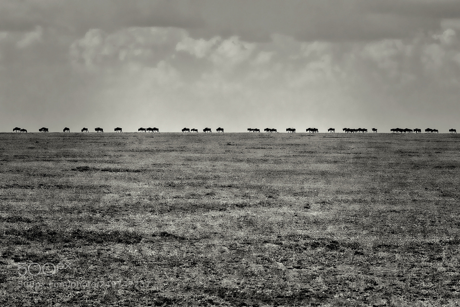 Canon EOS 7D Mark II sample photo. Never ending plains photography
