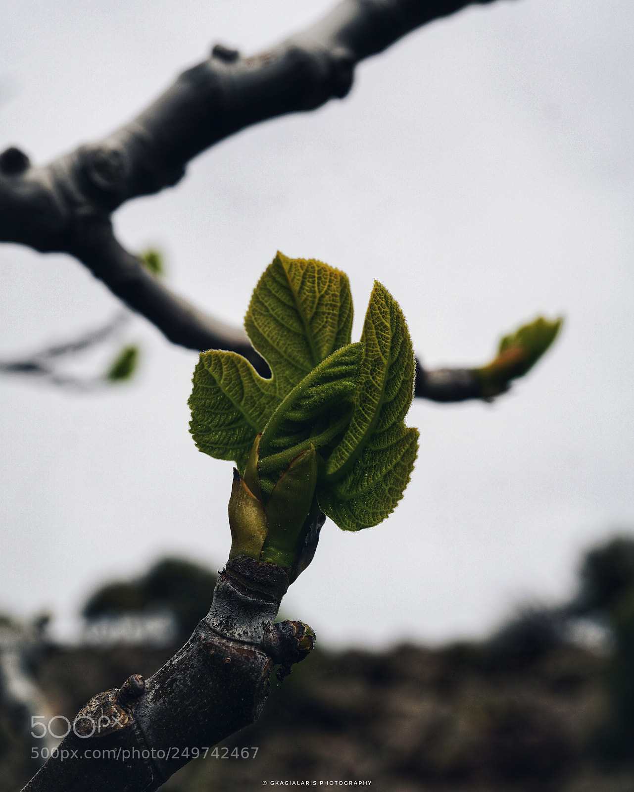 Sony a6000 sample photo. Untitled photography