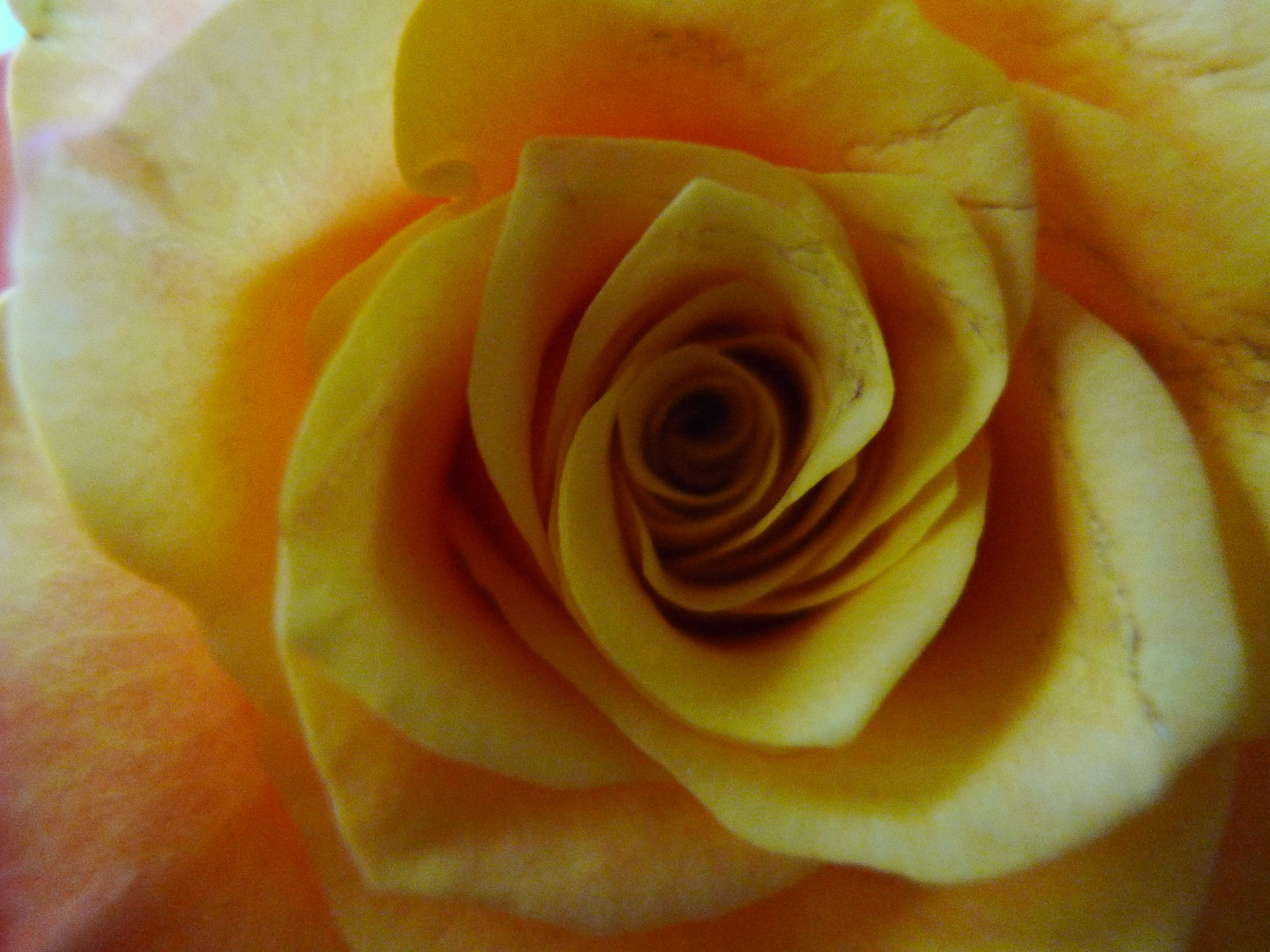 Panasonic Lumix DMC-LX3 sample photo