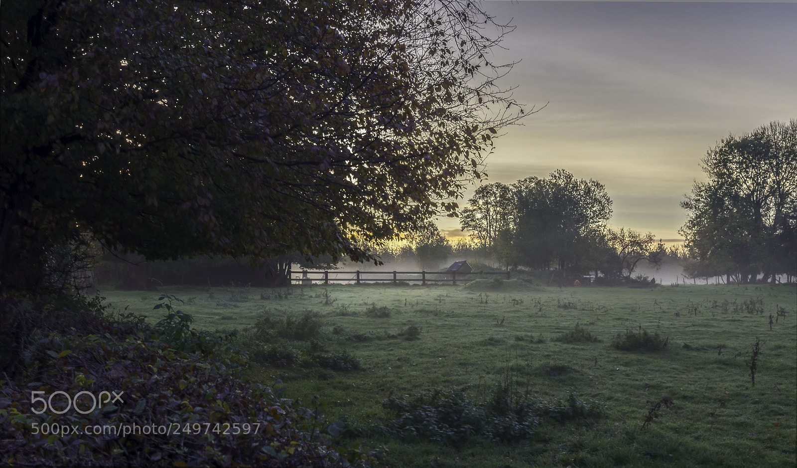 Pentax K-5 II sample photo. Brouillard photography