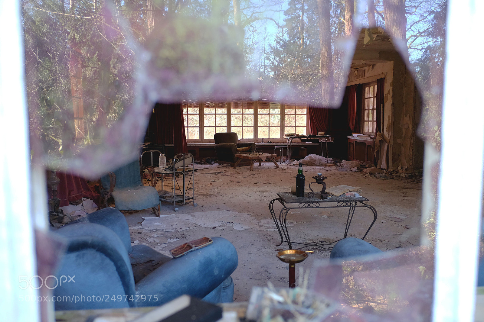 Fujifilm X-T1 sample photo. Peeking through the window photography
