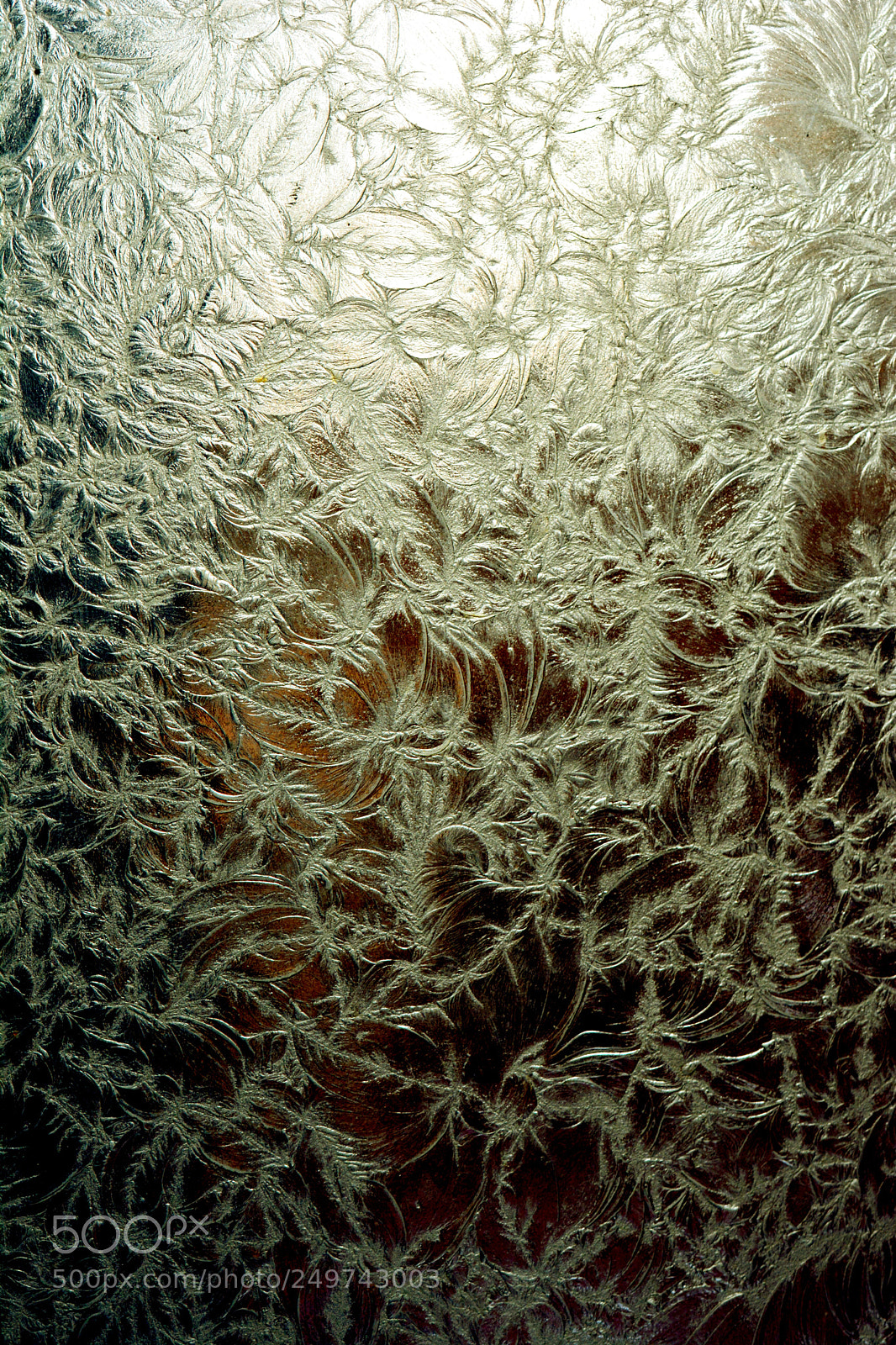 Nikon D5200 sample photo. Frost joke photography