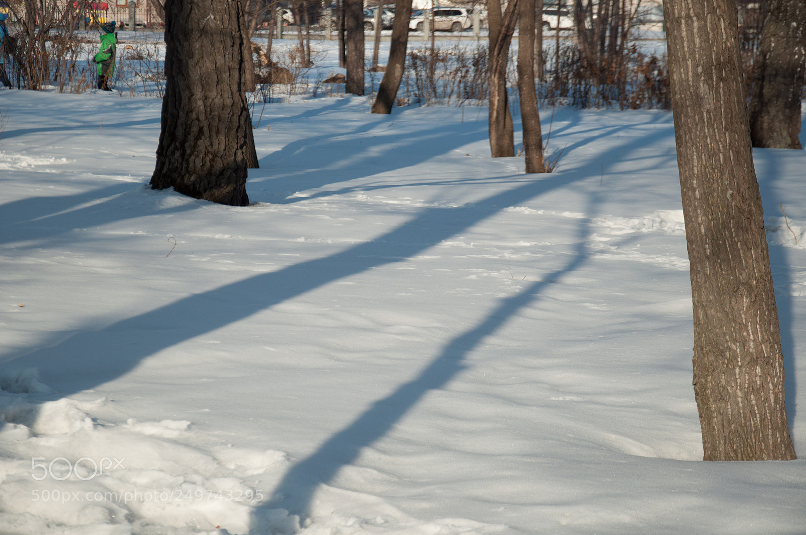 Nikon D5000 sample photo. Spring views photography