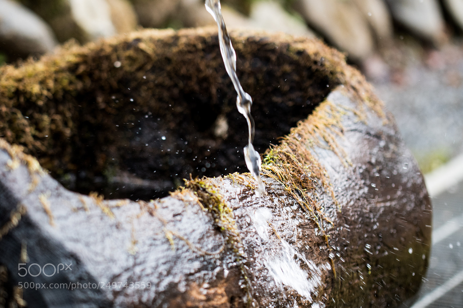 Nikon D500 sample photo. Spring photography