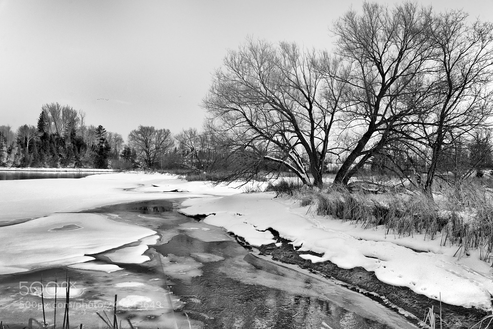 Nikon D610 sample photo. Spring stream photography