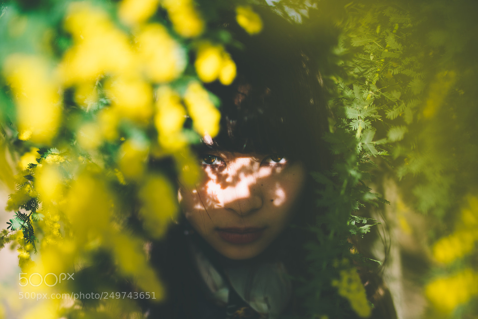 Sony a7R sample photo. Untitled photography