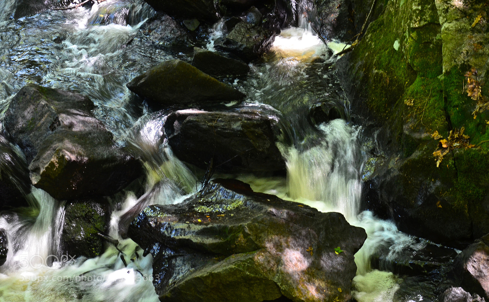Nikon D7000 sample photo. Roaring brook photography