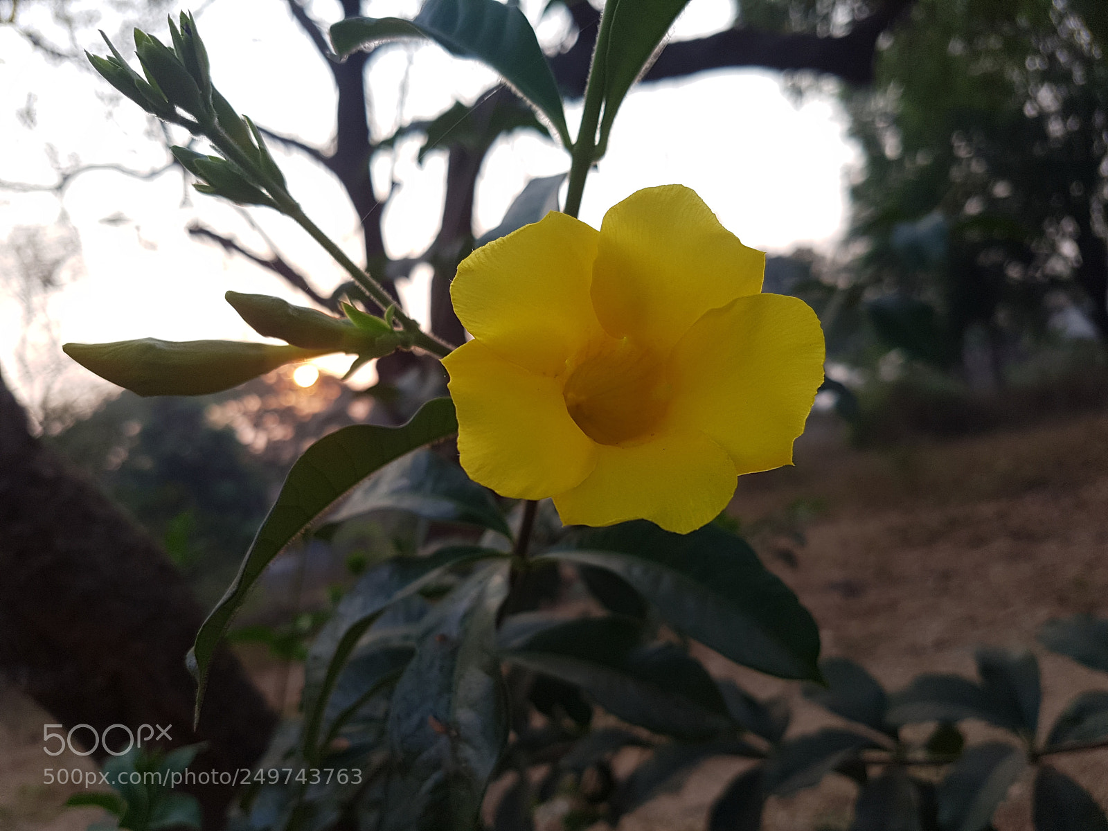 Samsung Galaxy S7 sample photo. Untitled photography