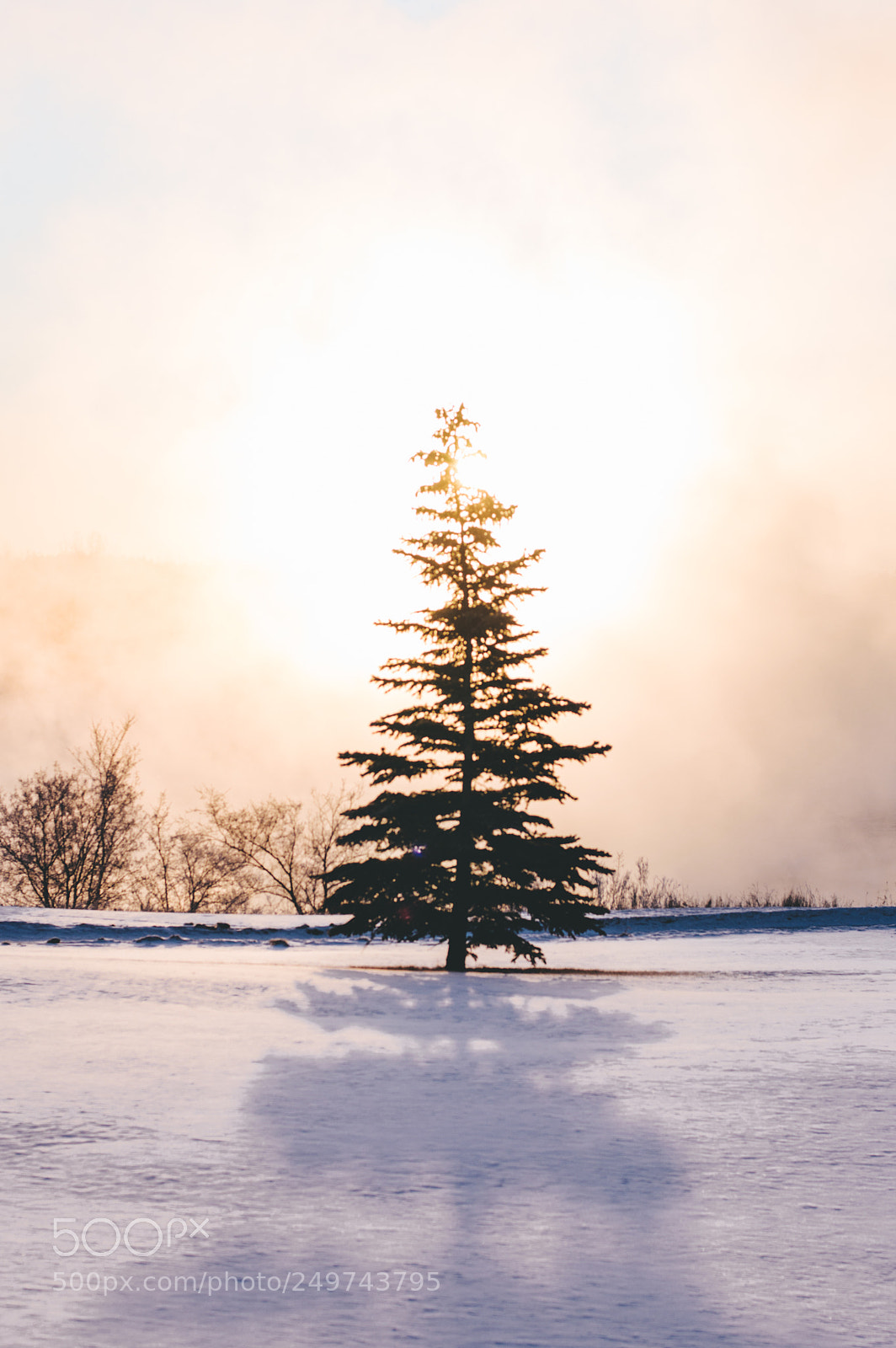 Nikon D3200 sample photo. Winter shadows photography