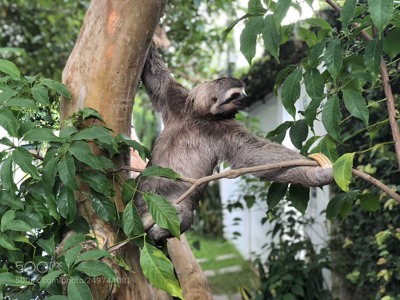 Apple iPhone X sample photo. A visitor photography