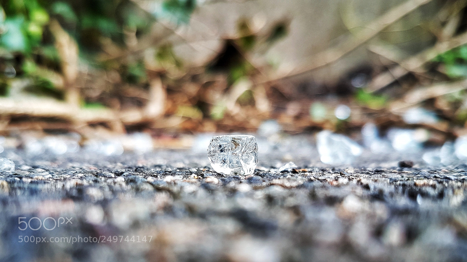 Samsung Galaxy S7 sample photo. Broken glass photography
