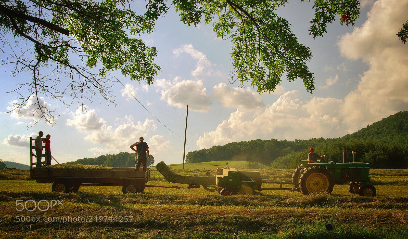 Pentax K10D sample photo. Farming photography