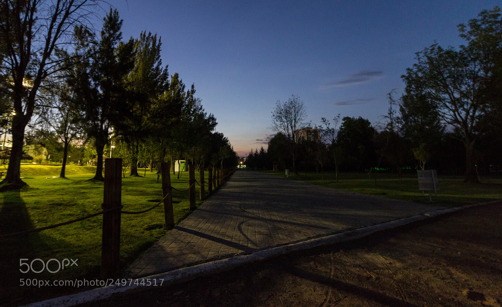 Canon EOS 550D (EOS Rebel T2i / EOS Kiss X4) sample photo. Path photography