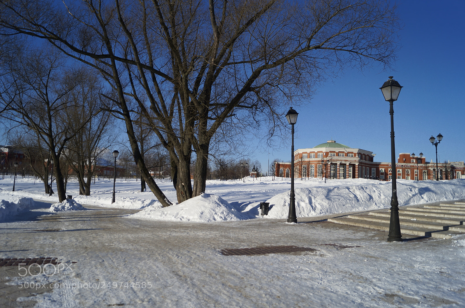 Sony SLT-A57 sample photo. Untitled photography