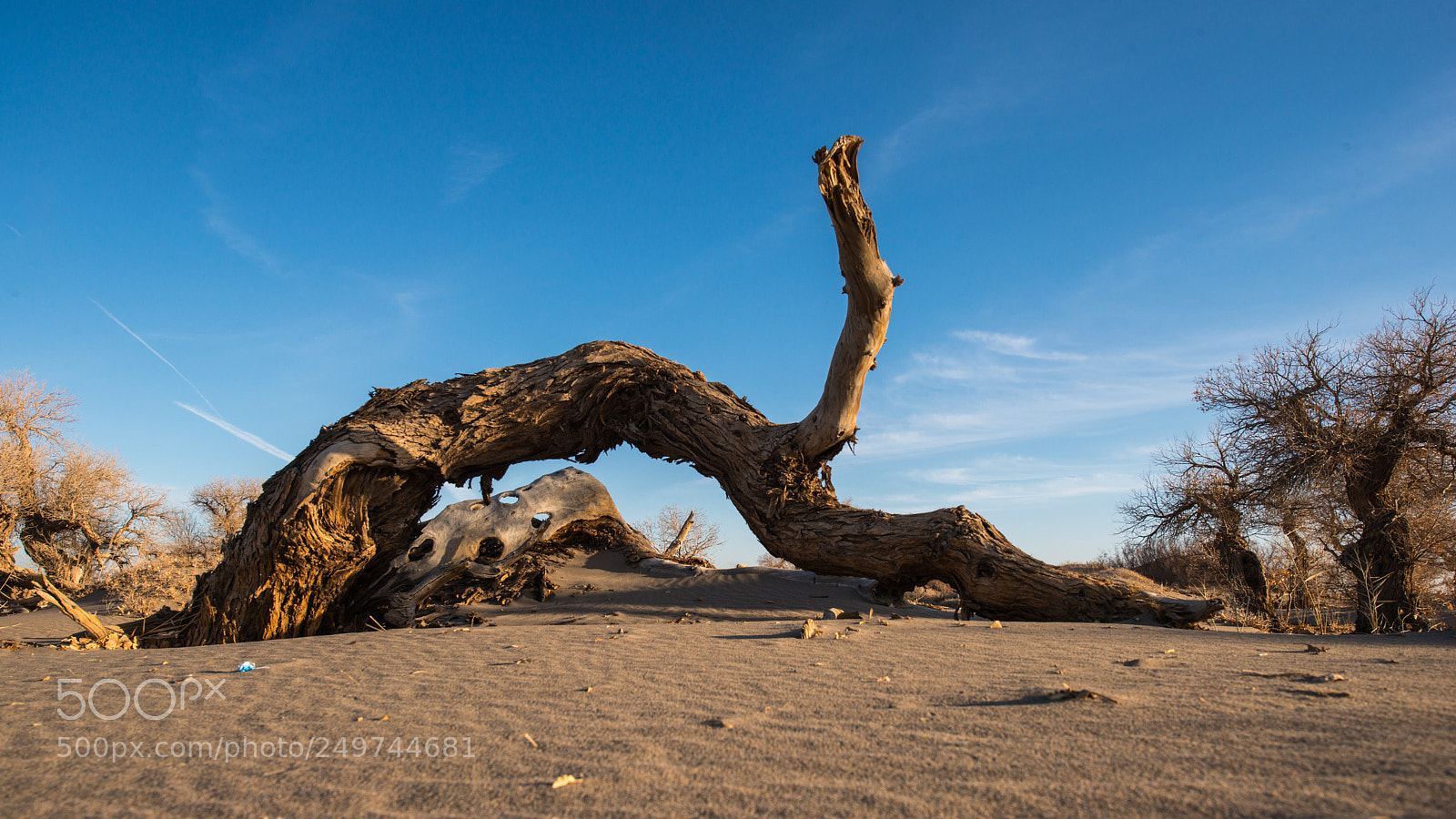 Nikon D800E sample photo. A thousand years of photography