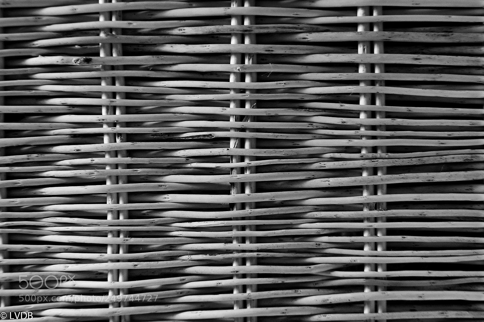 Nikon D300 sample photo. Wooden structure photography