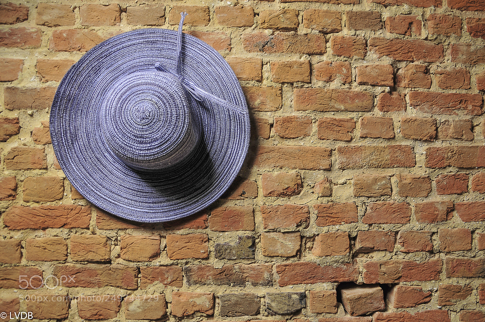 Nikon D300 sample photo. Decoration photography
