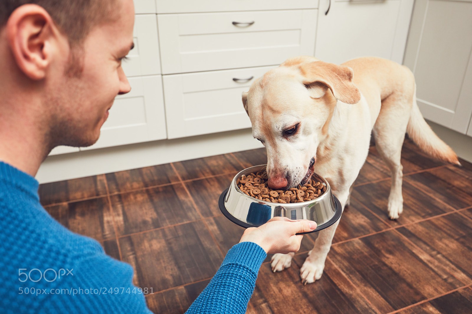 Canon EOS 5D Mark IV sample photo. Feeding of hungry dog photography