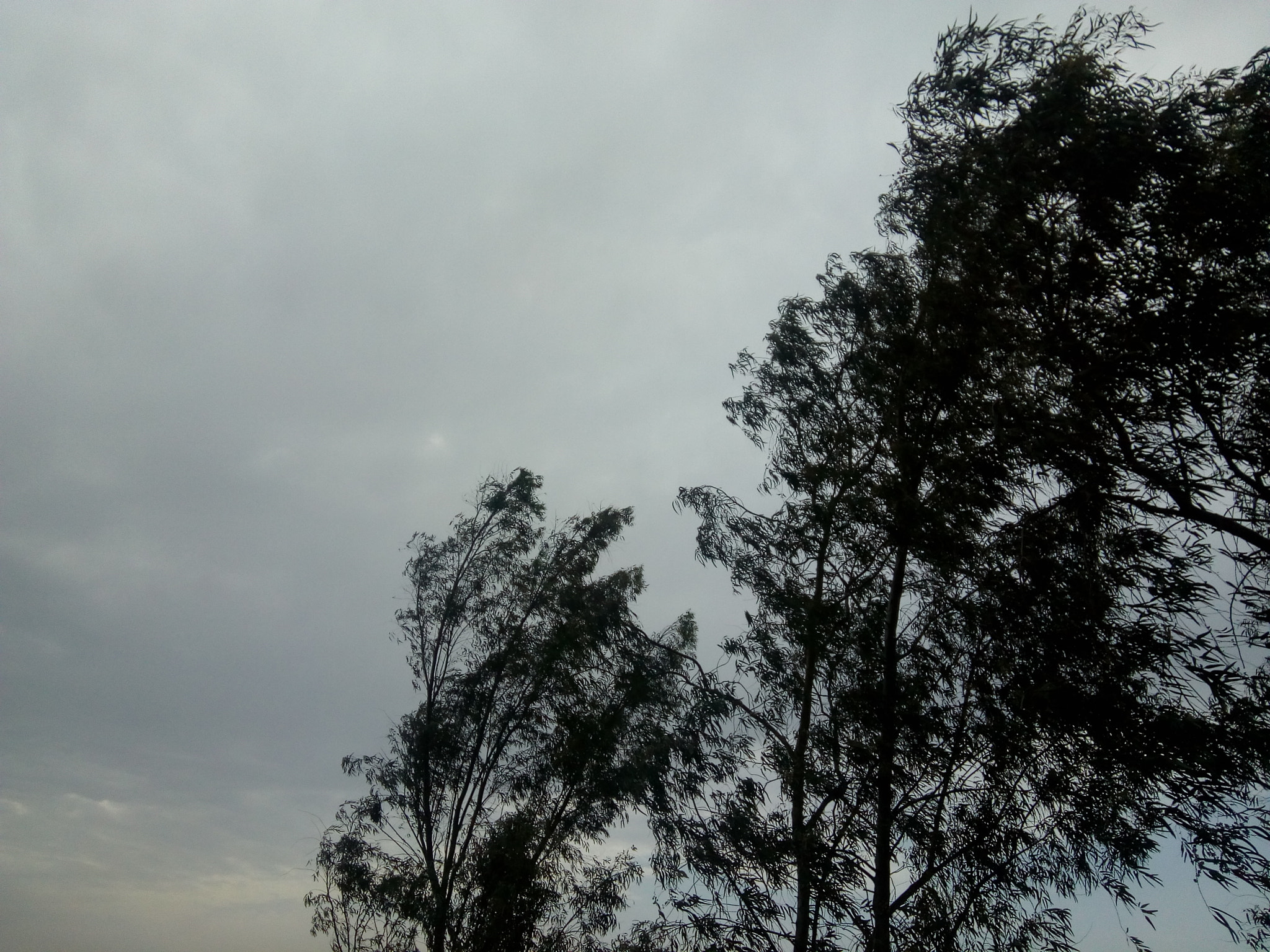 Motorola Moto C Plus sample photo