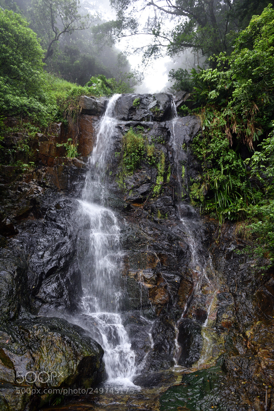 Nikon D810 sample photo. Travelling in asia photography