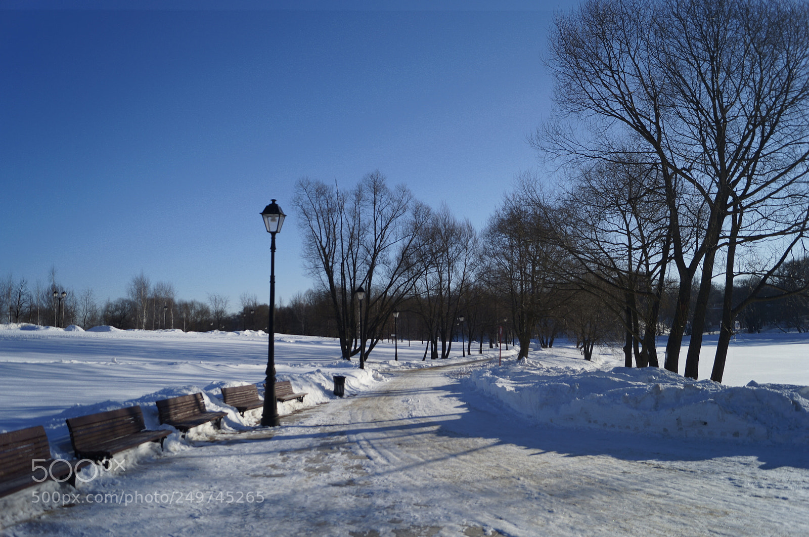 Sony SLT-A57 sample photo. Untitled photography