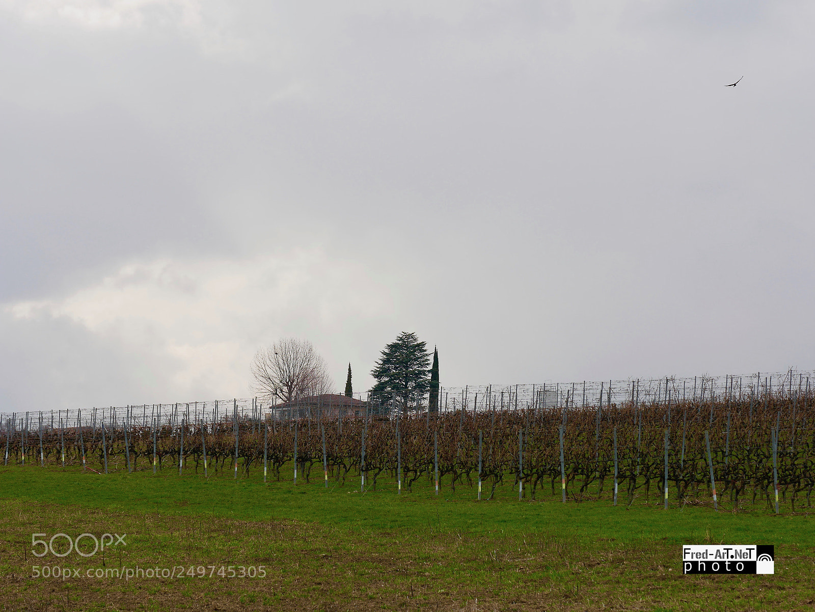 Panasonic DMC-G70 sample photo. Dimanche gris! photography