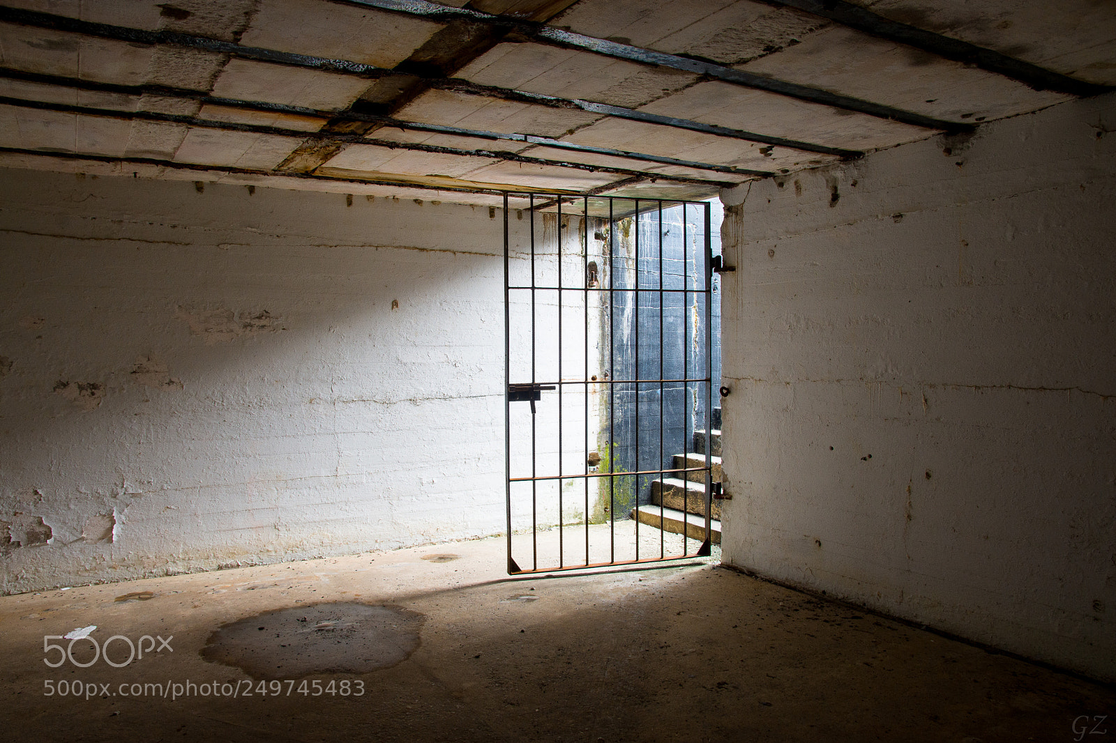 Nikon D7200 sample photo. Escape photography