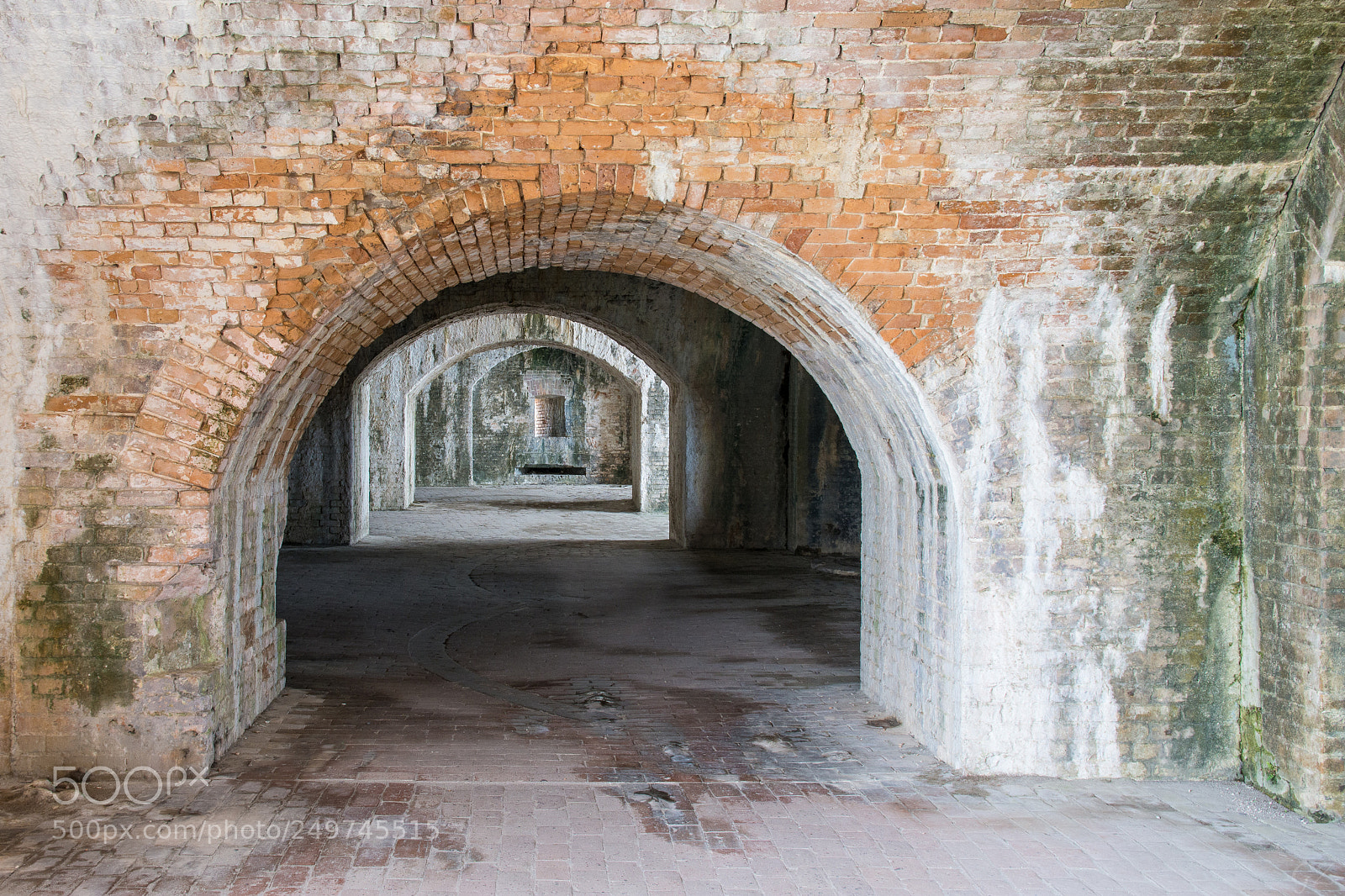 Nikon D7200 sample photo. Beauty in decay photography