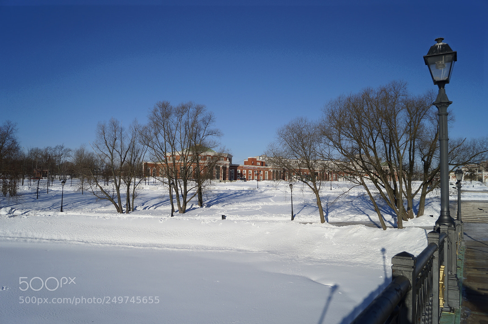 Sony SLT-A57 sample photo. Untitled photography