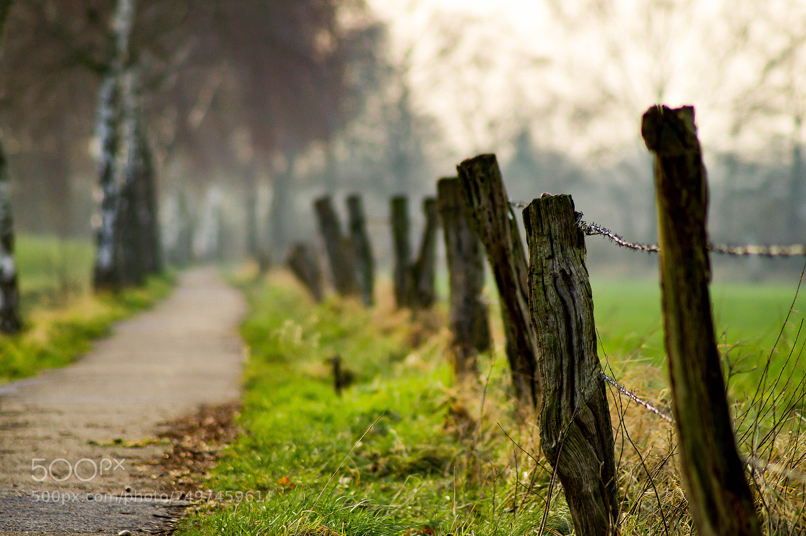 Sony SLT-A58 sample photo. Fence along path photography